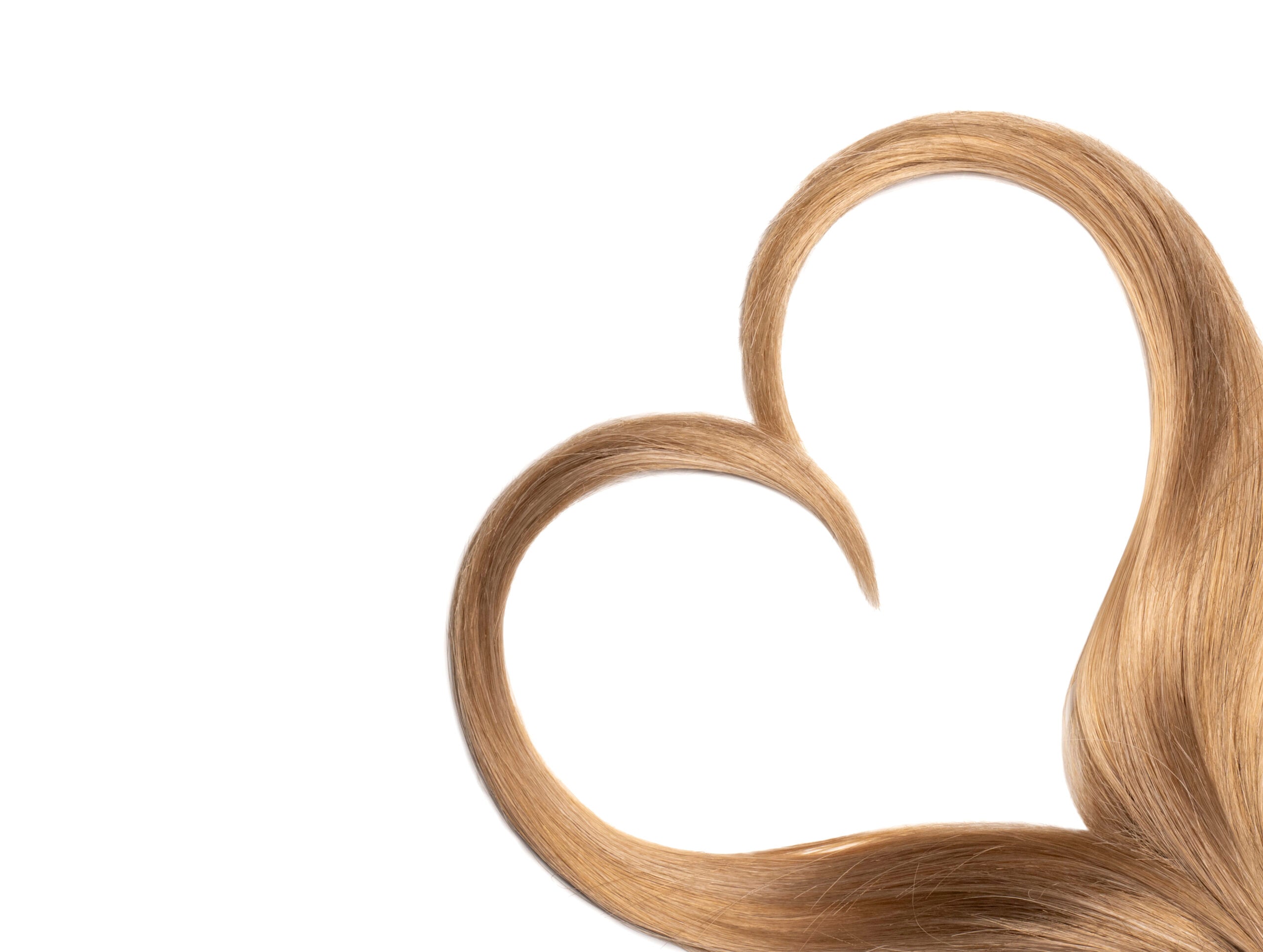 Everyday Beautiful Wigs in Odessa, FL (3)