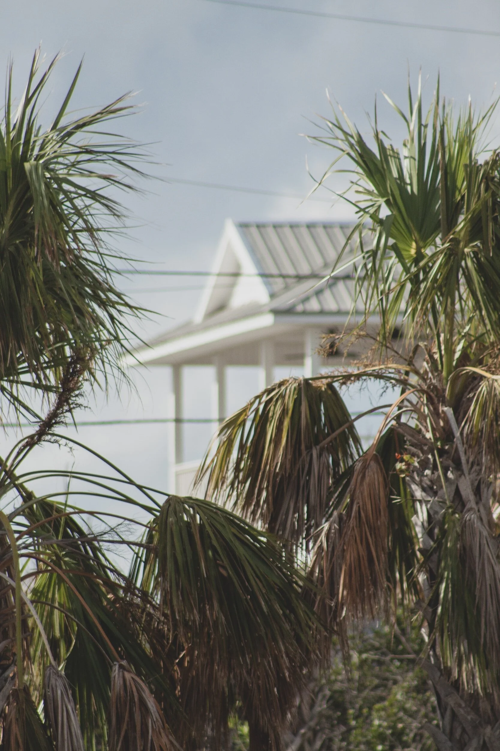 Regal Real Estate Services in South Pasadena, FL