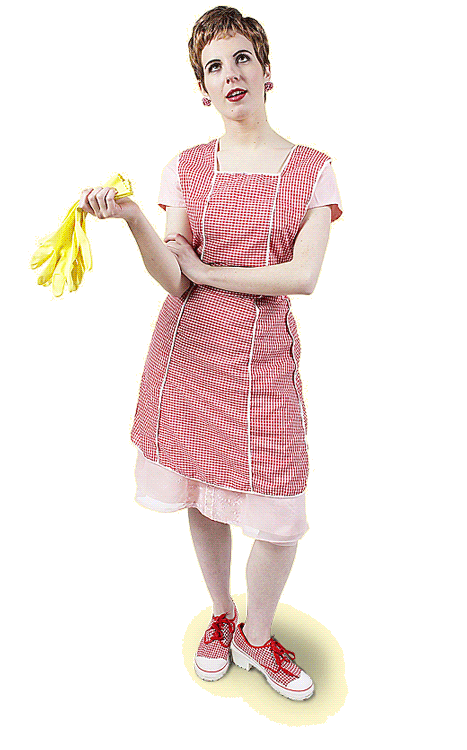 The Maid Place - House Maid Cleaning | Carpet Cleaning & Window Cleaning Services in Frisco, TX in Frisco, TX