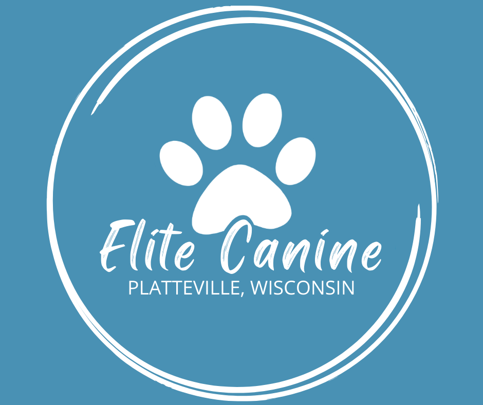 Elite Canine in Platteville, WI