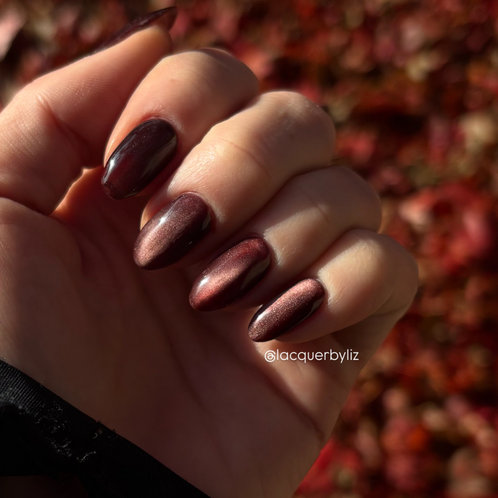 Lacquer by Liz in Dublin, OH (4)