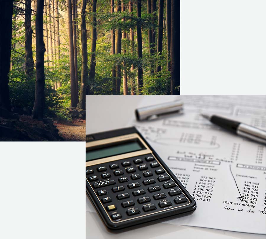 Robertson Bookkeeping Solutions in Ojai, CA (2)