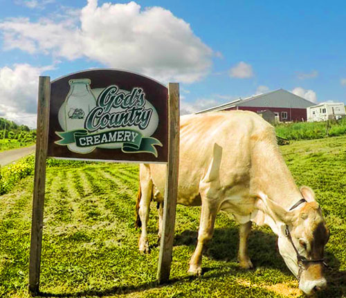 God's Country Creamery in Ulysses, PA (3)