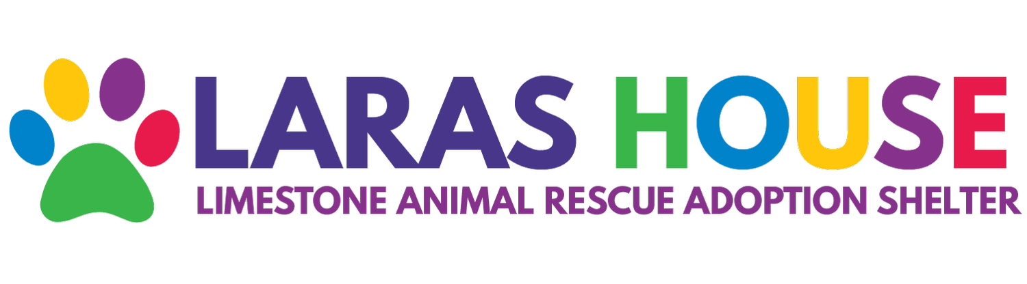 LARAS House (Limestone Animal Rescue Adoption Shelter) in Mexia, TX (2)