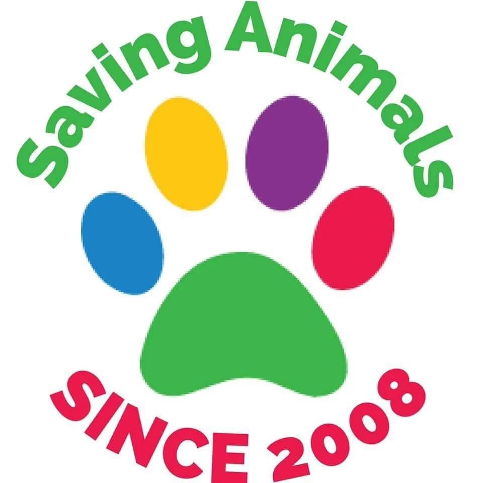 LARAS House (Limestone Animal Rescue Adoption Shelter) in Mexia, TX (3)