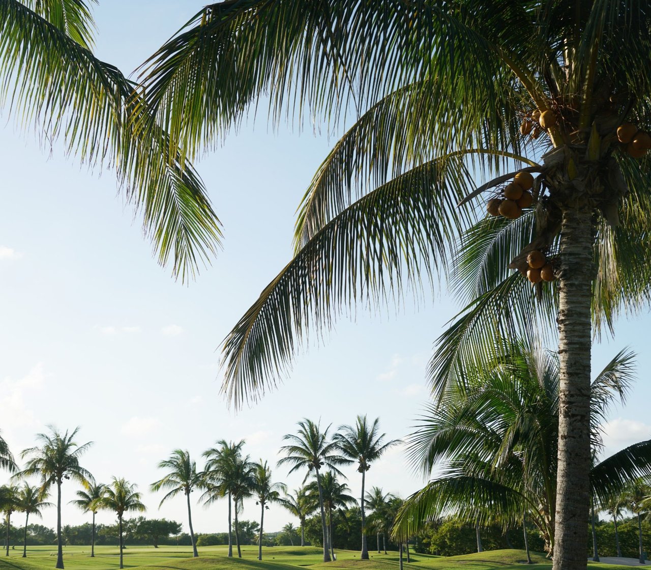 Carr Signature Premier Group in Tampa, FL (3)