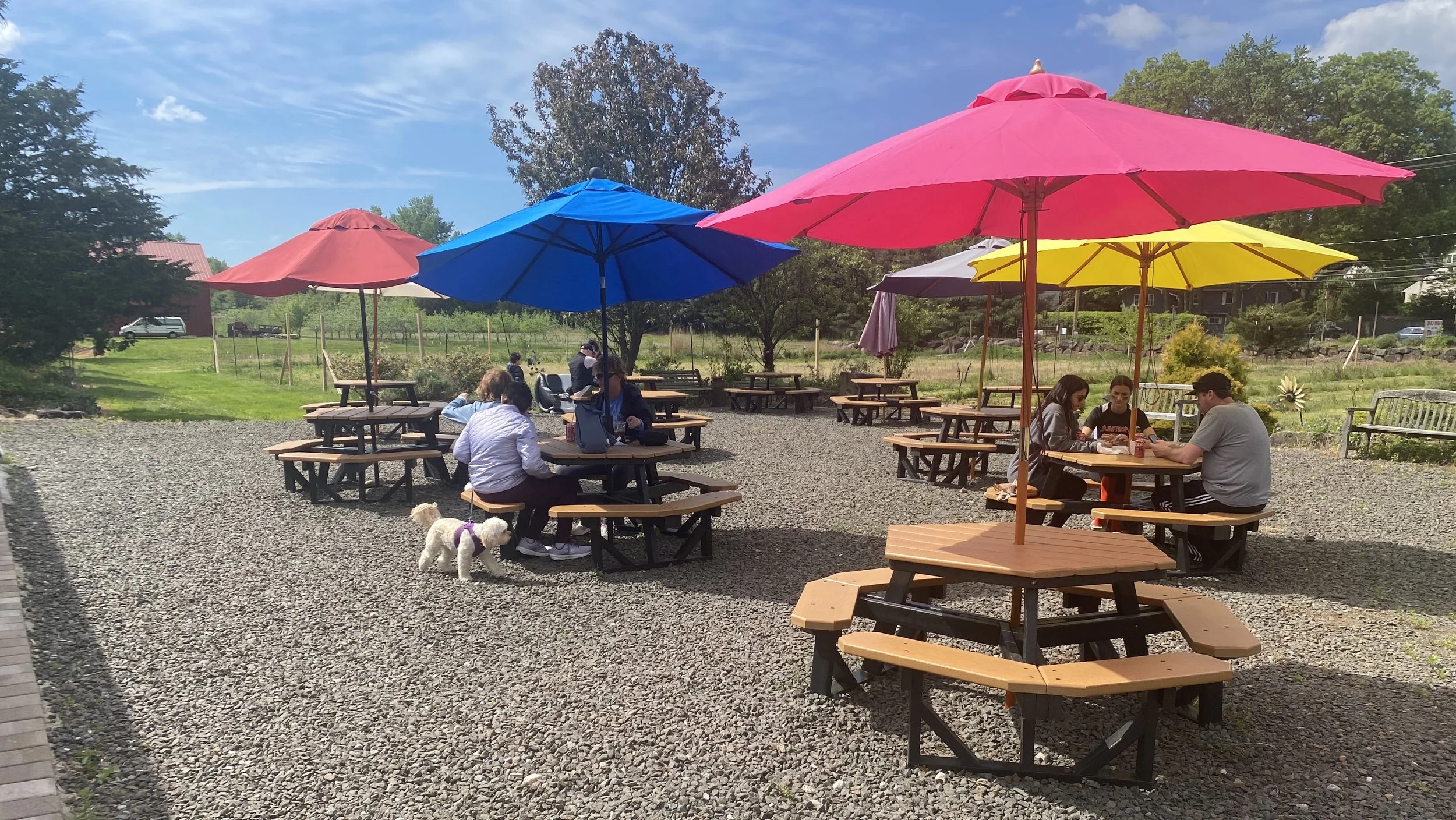 Farm Cafe in Closter, NJ (2)
