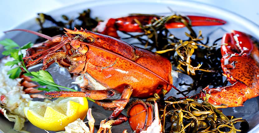Monstah Lobstah and JD's Back Porch in Indian Rocks Beach, FL (4)