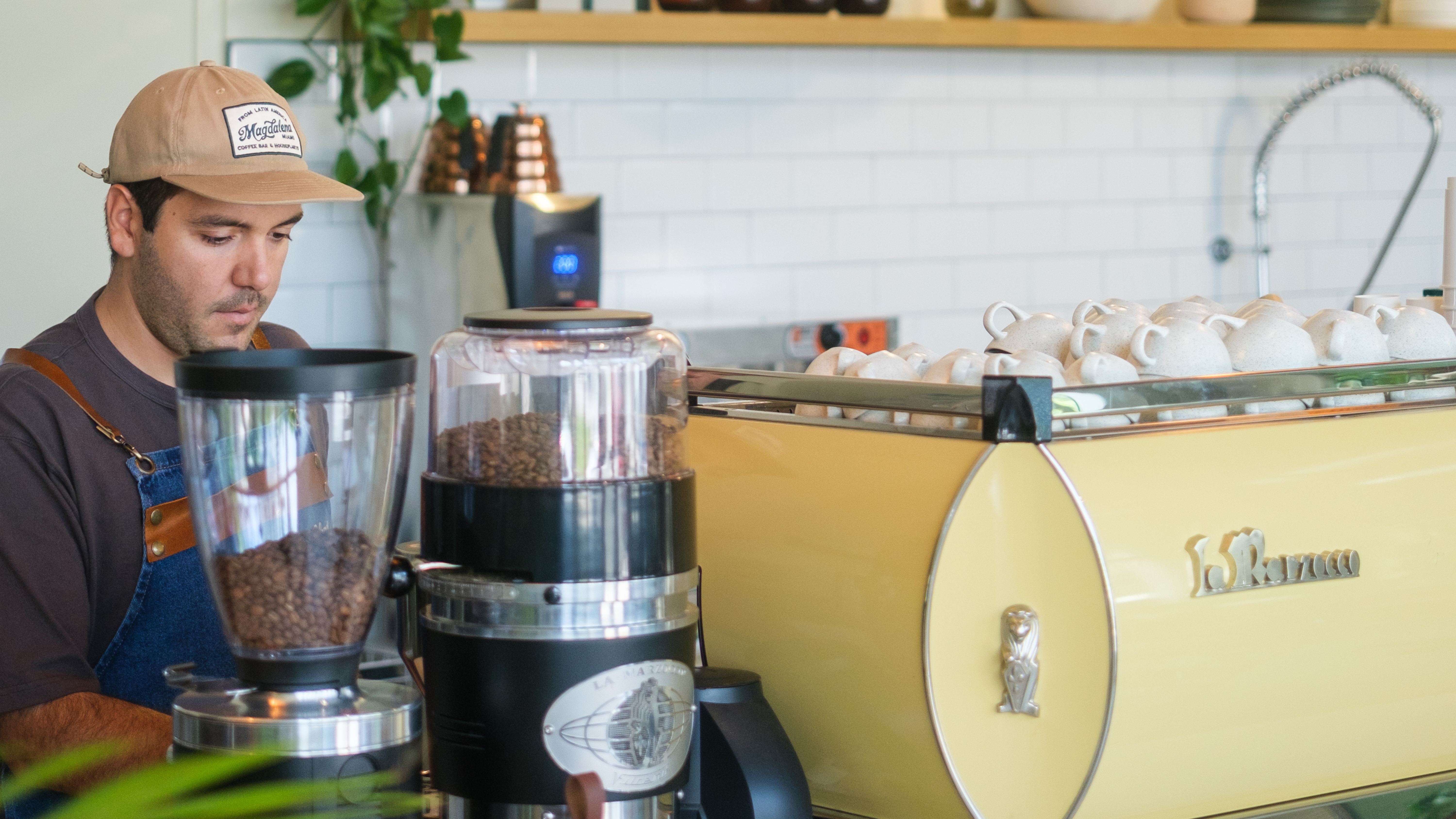 Magdalena Coffee & Houseplants in Miami, FL