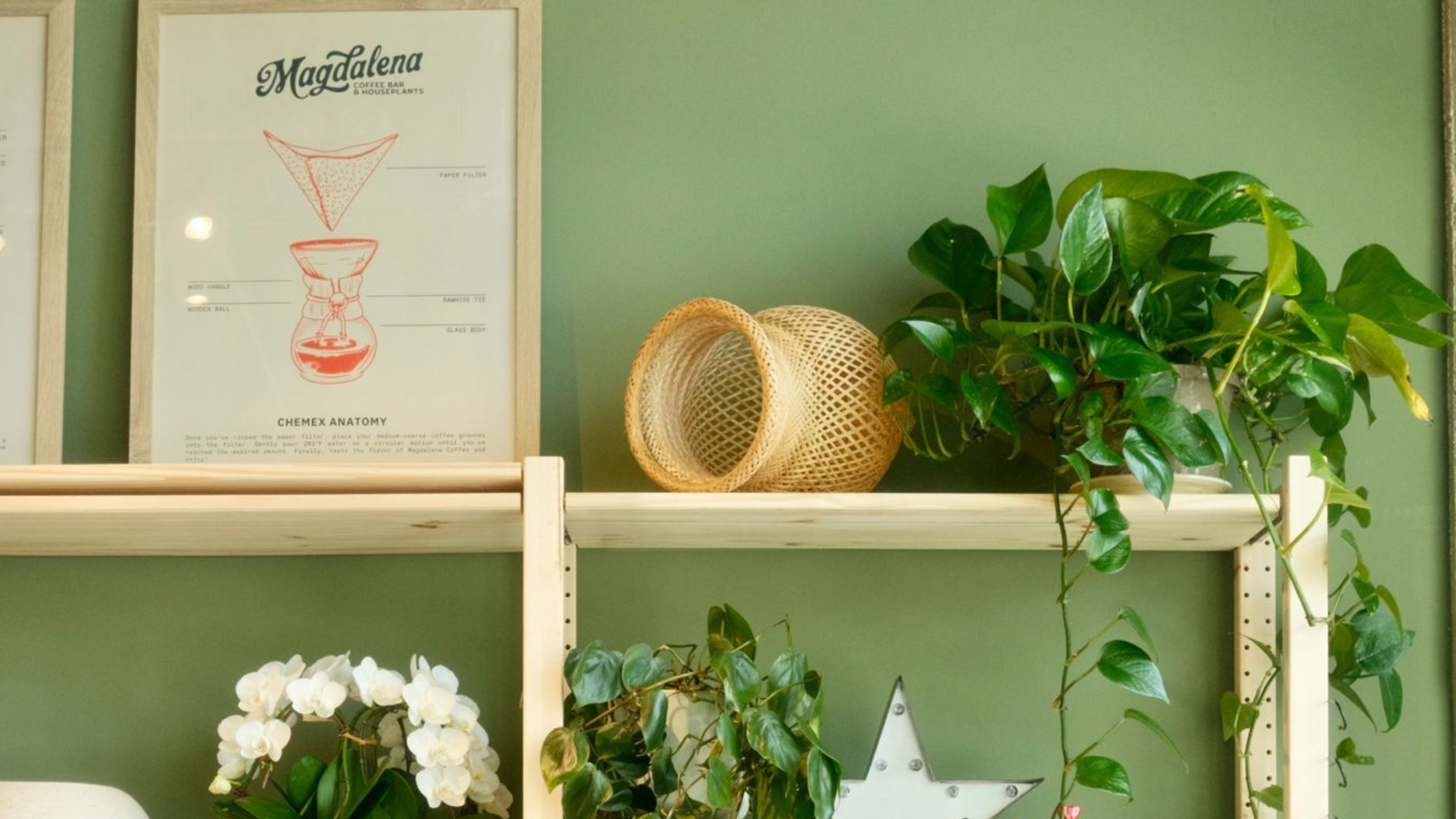 Magdalena Coffee & Houseplants in Miami, FL (2)