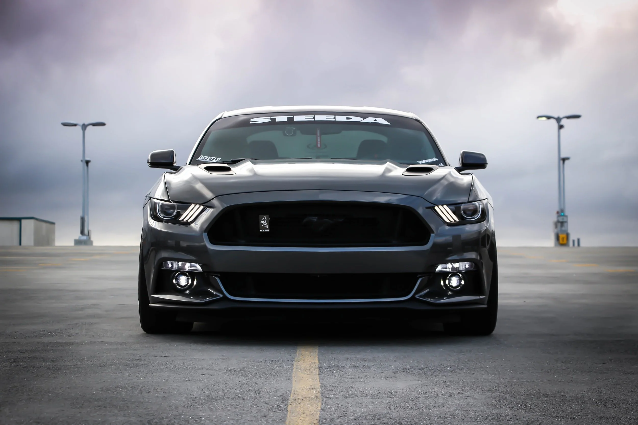 Roush Auto Detailing in Horse Shoe, NC (2)