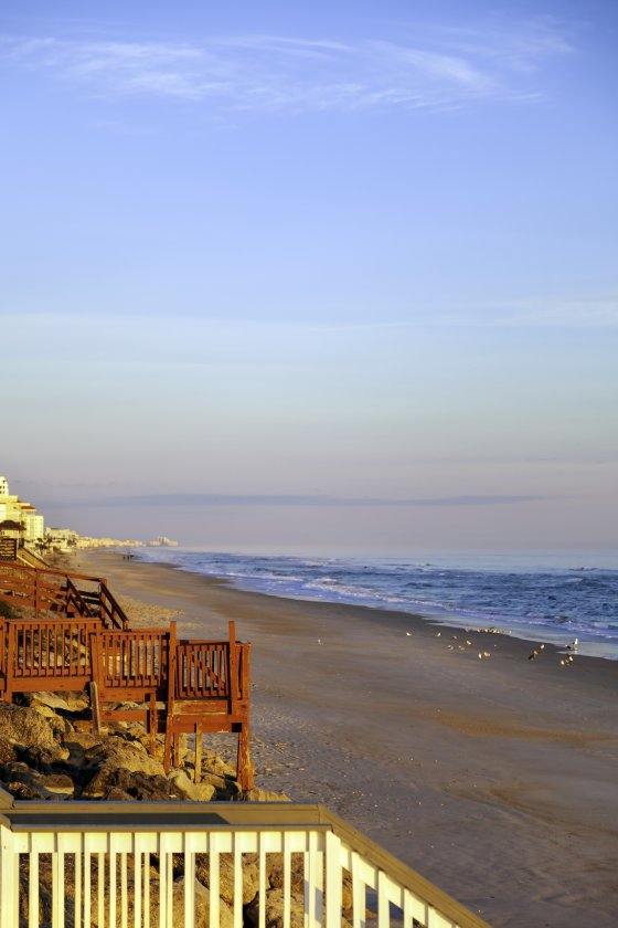 White Whale Real Estate in New Smyrna Beach, FL (4)