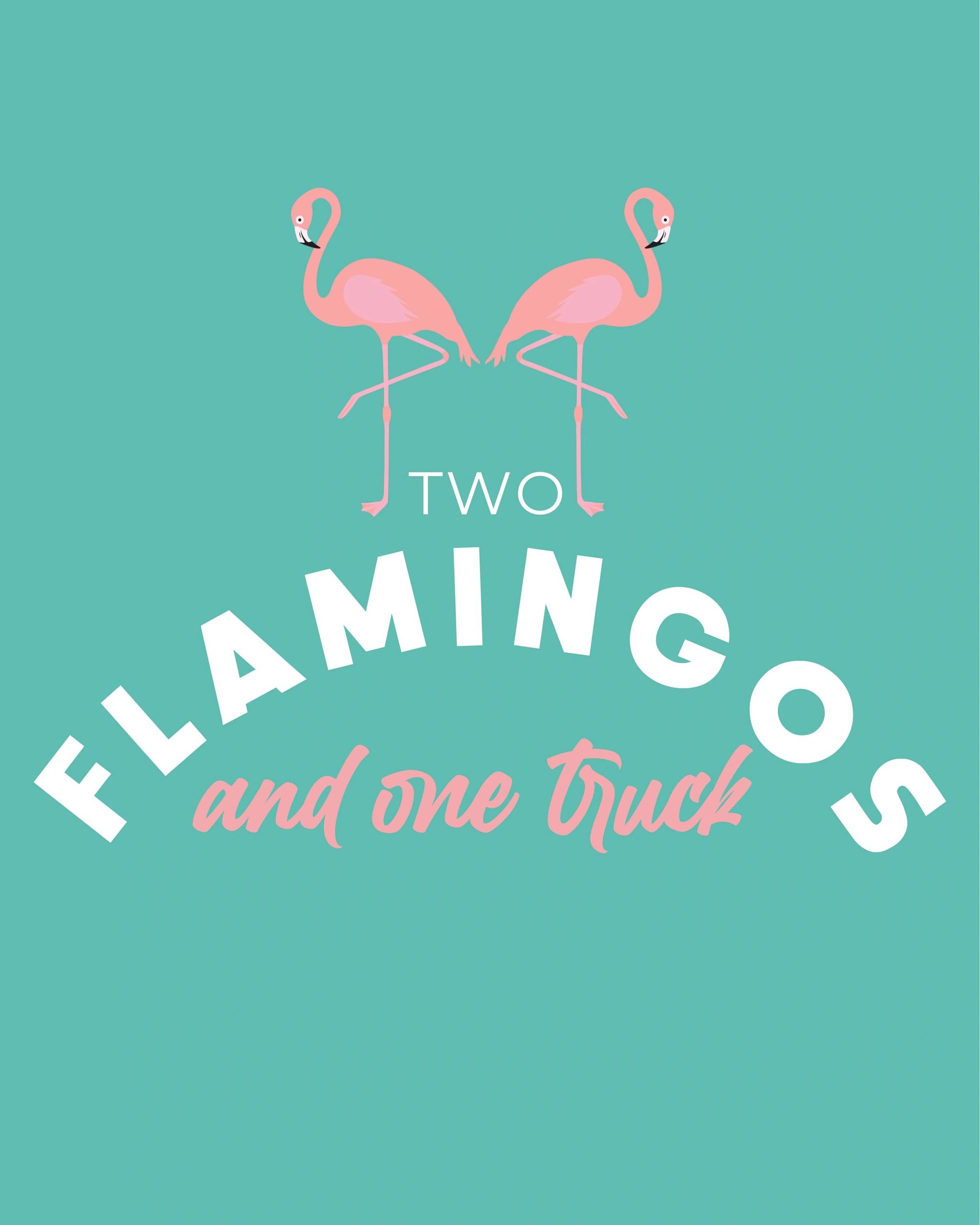 Two Flamingos and One Truck in Miami, FL