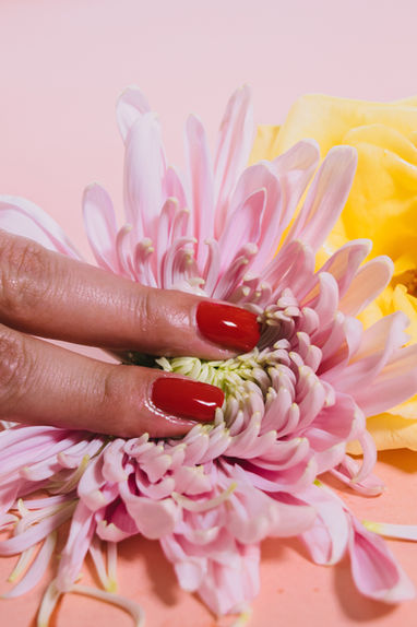 Morph Nail Studio in Edinboro, PA
