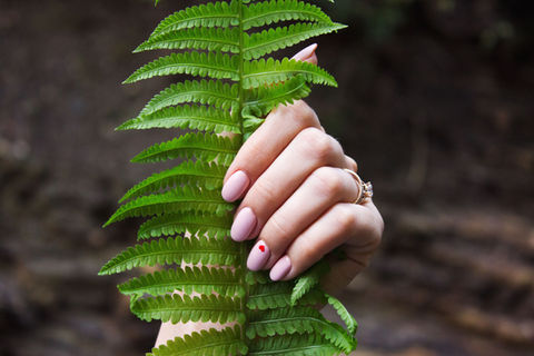 Morph Nail Studio in Edinboro, PA (3)