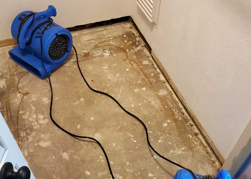 Water Damage Cleanup Team in Cape Coral, FL (5)
