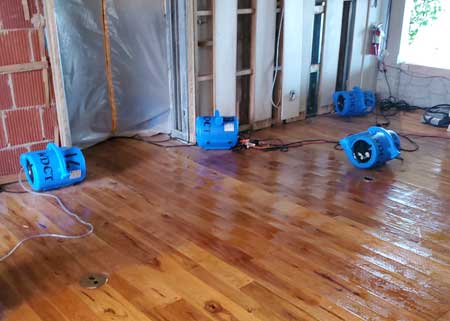 Water Damage Cleanup Team in Cape Coral, FL (6)