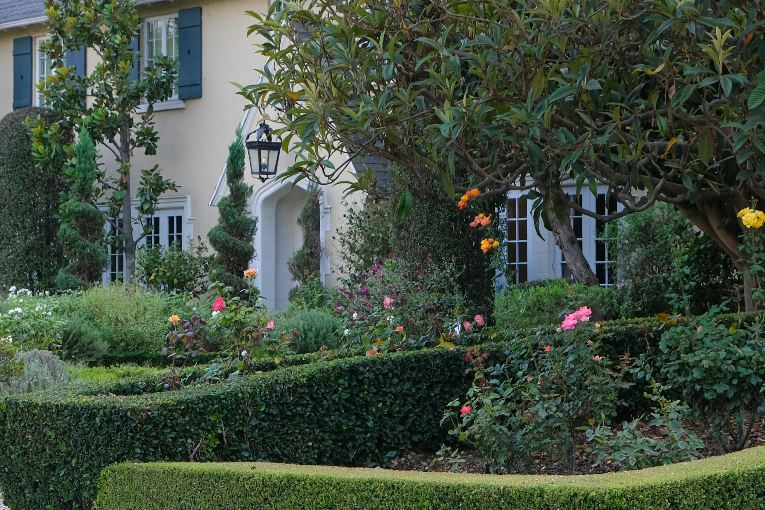 California Trust and Legacy in Walnut Creek, CA