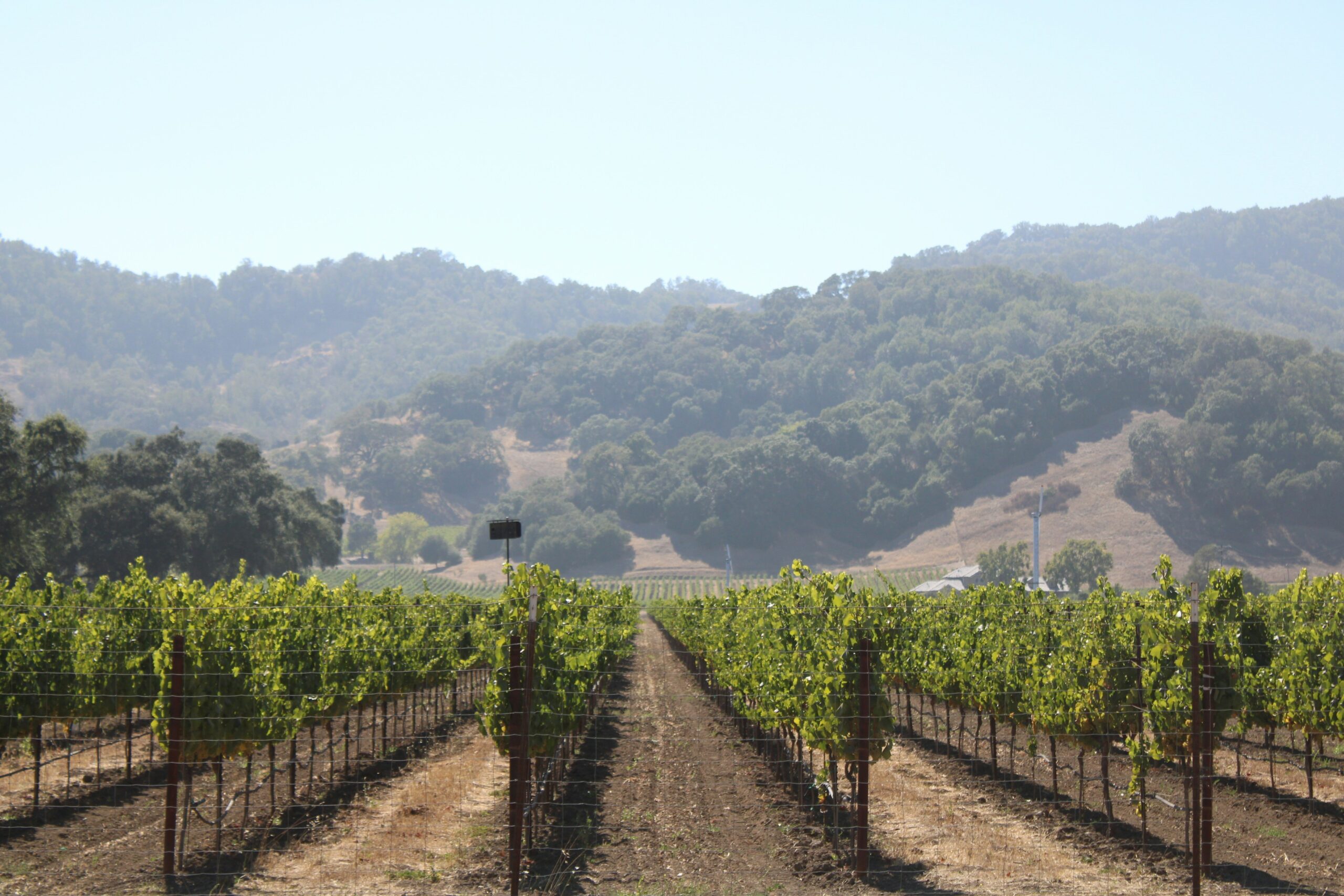 California Trust and Legacy in Walnut Creek, CA (4)