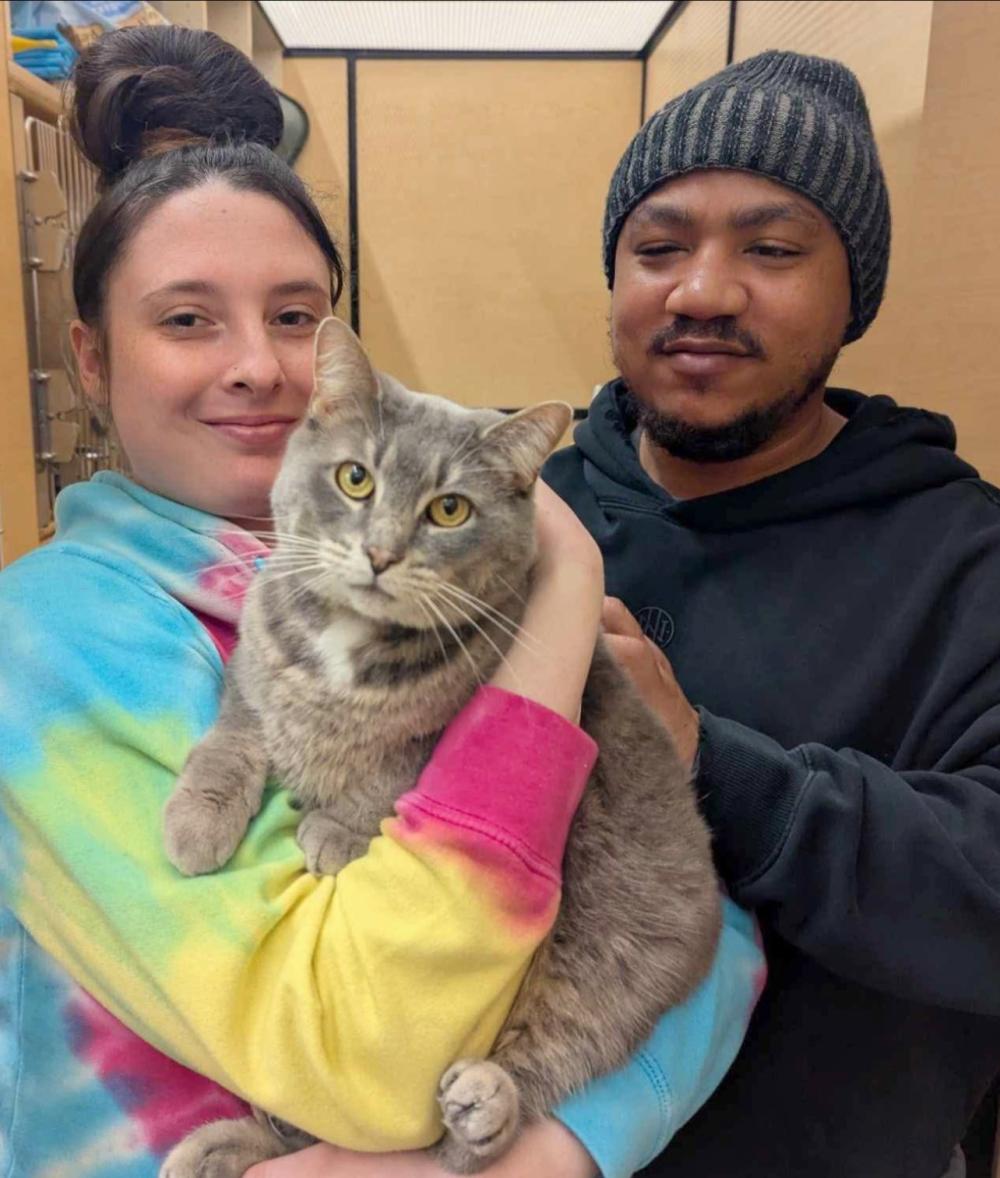 Humane Society of Stark County in Louisville, OH (4)
