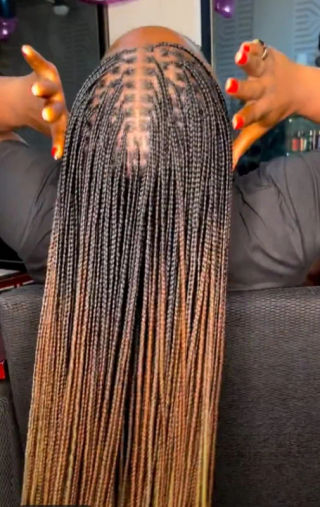 Anta African Hair Braiding in Glen Ellyn, IL