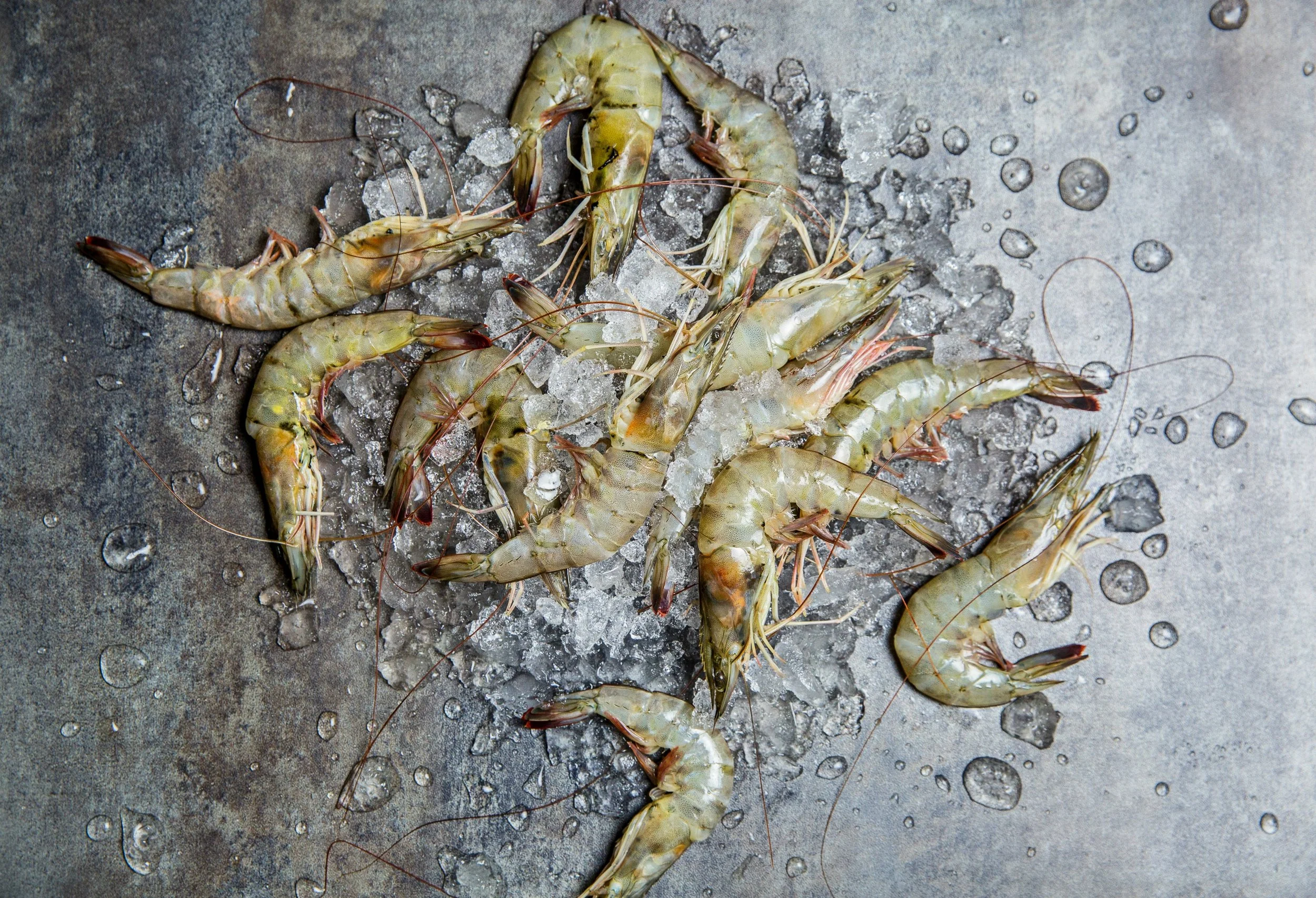 Saltbox Seafood Joint in Durham, NC (4)