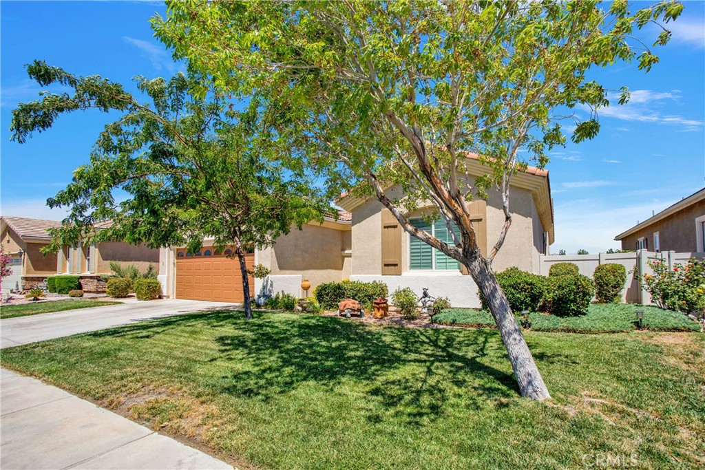 Real Estate Broker Stacy McQueen in Victorville, CA (2)