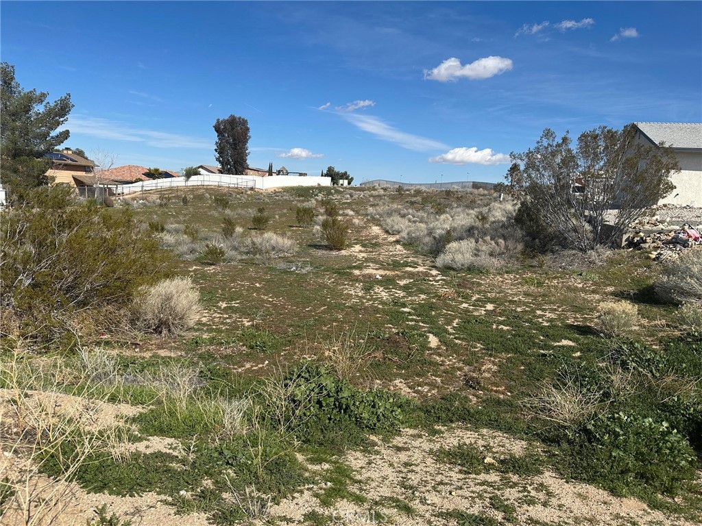 Real Estate Broker Stacy McQueen in Victorville, CA (3)