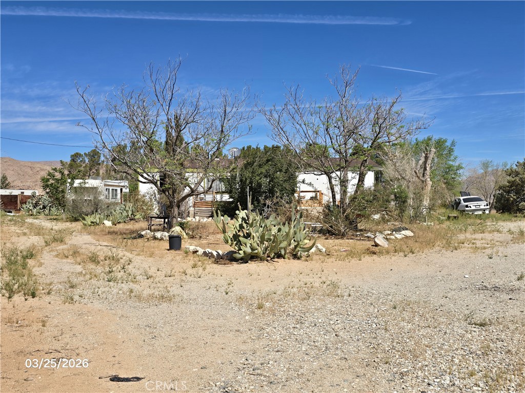 Real Estate Broker Stacy McQueen in Victorville, CA (6)