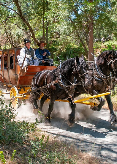 Tuolumne County Chamber of Commerce in Sonora, CA
