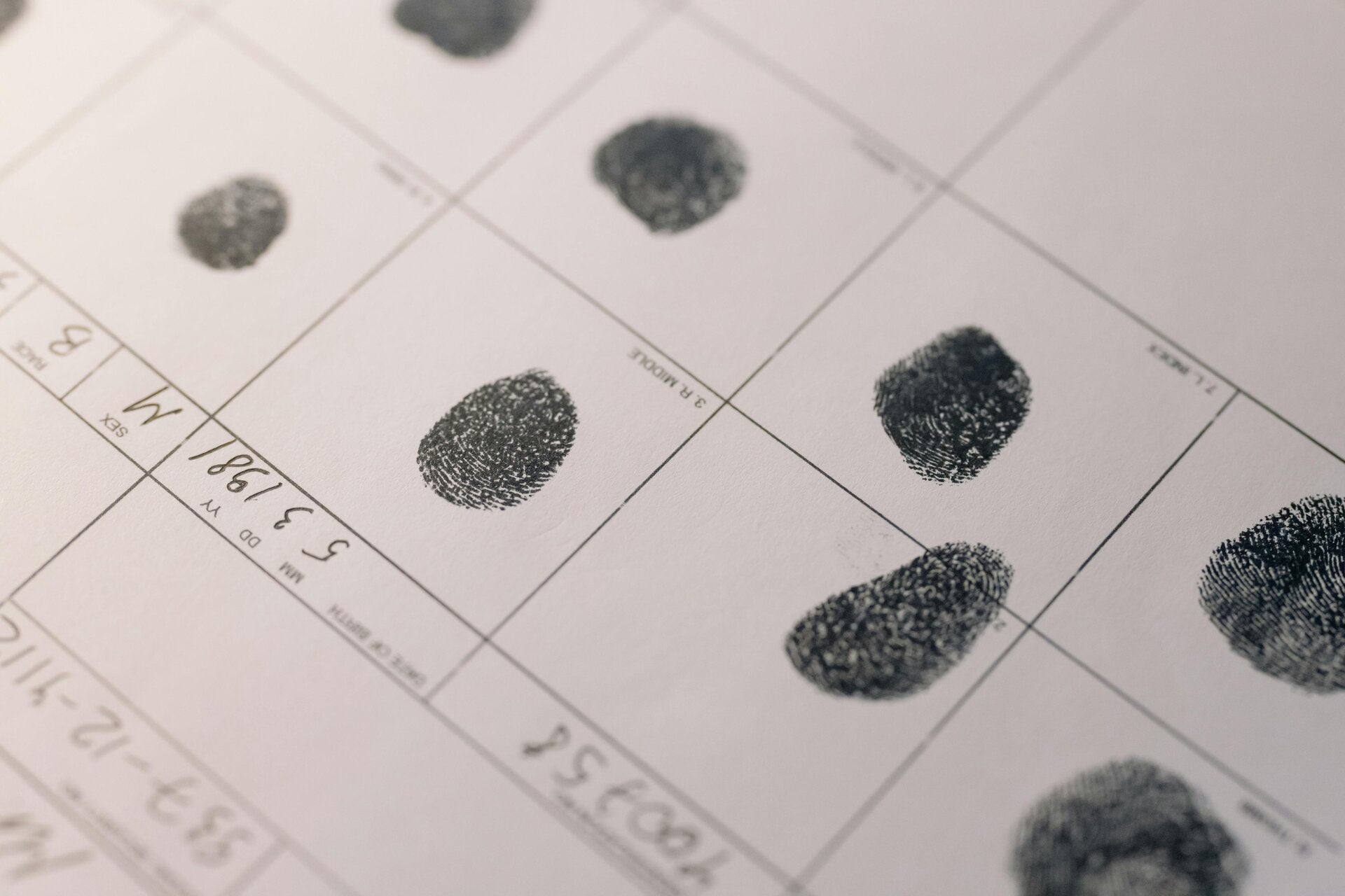 Rapid Time Fingerprinting Service & More in Minneola, FL (3)