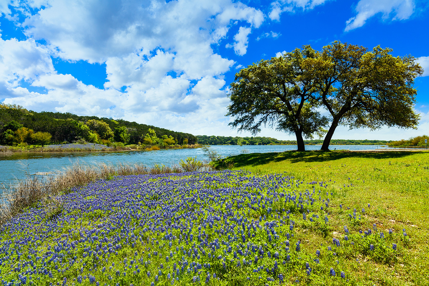 Neffendorf & Blocker, P.C. in Fredericksburg, TX