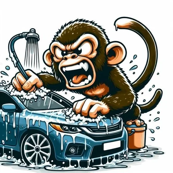 Angry Monkey Detailing in West Nyack, NY (3)