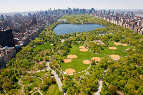Small Business Accountant New York in Manhasset, NY (3)