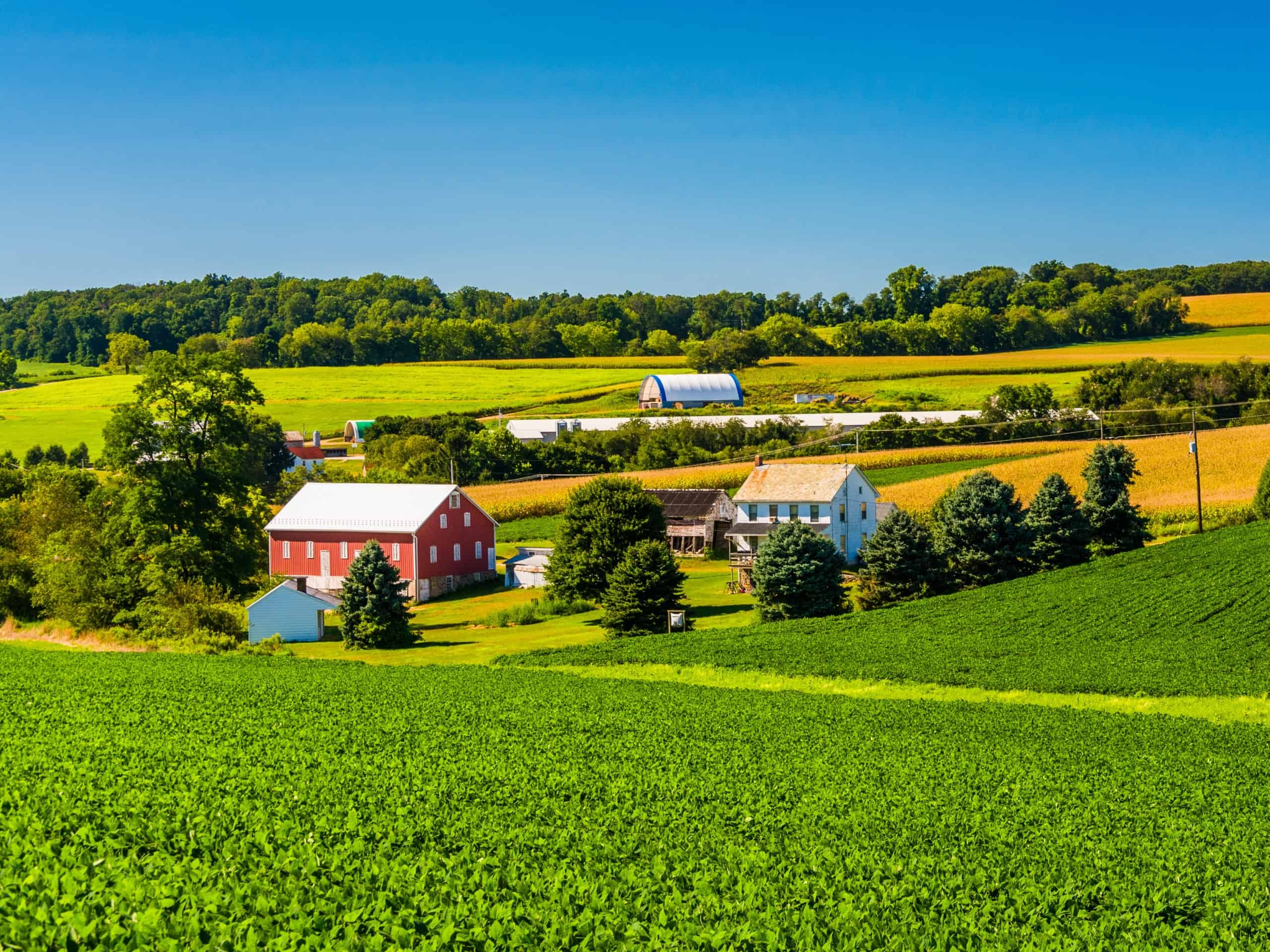 White Diamond Realty in Morgantown, WV (4)