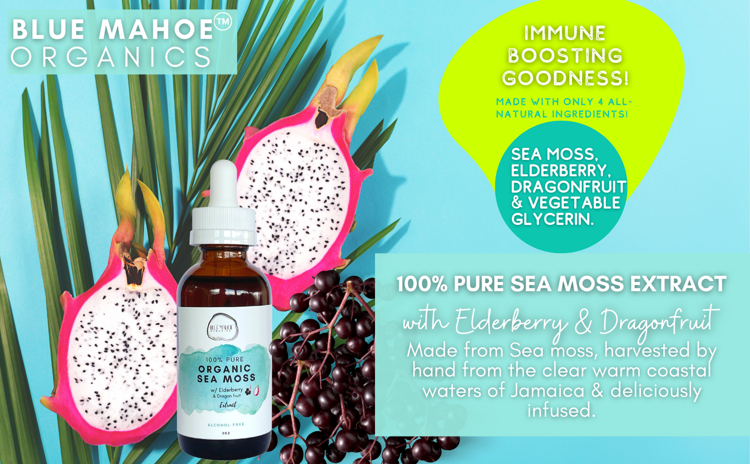Blue Mahoe Organics in West Palm Beach, FL (2)