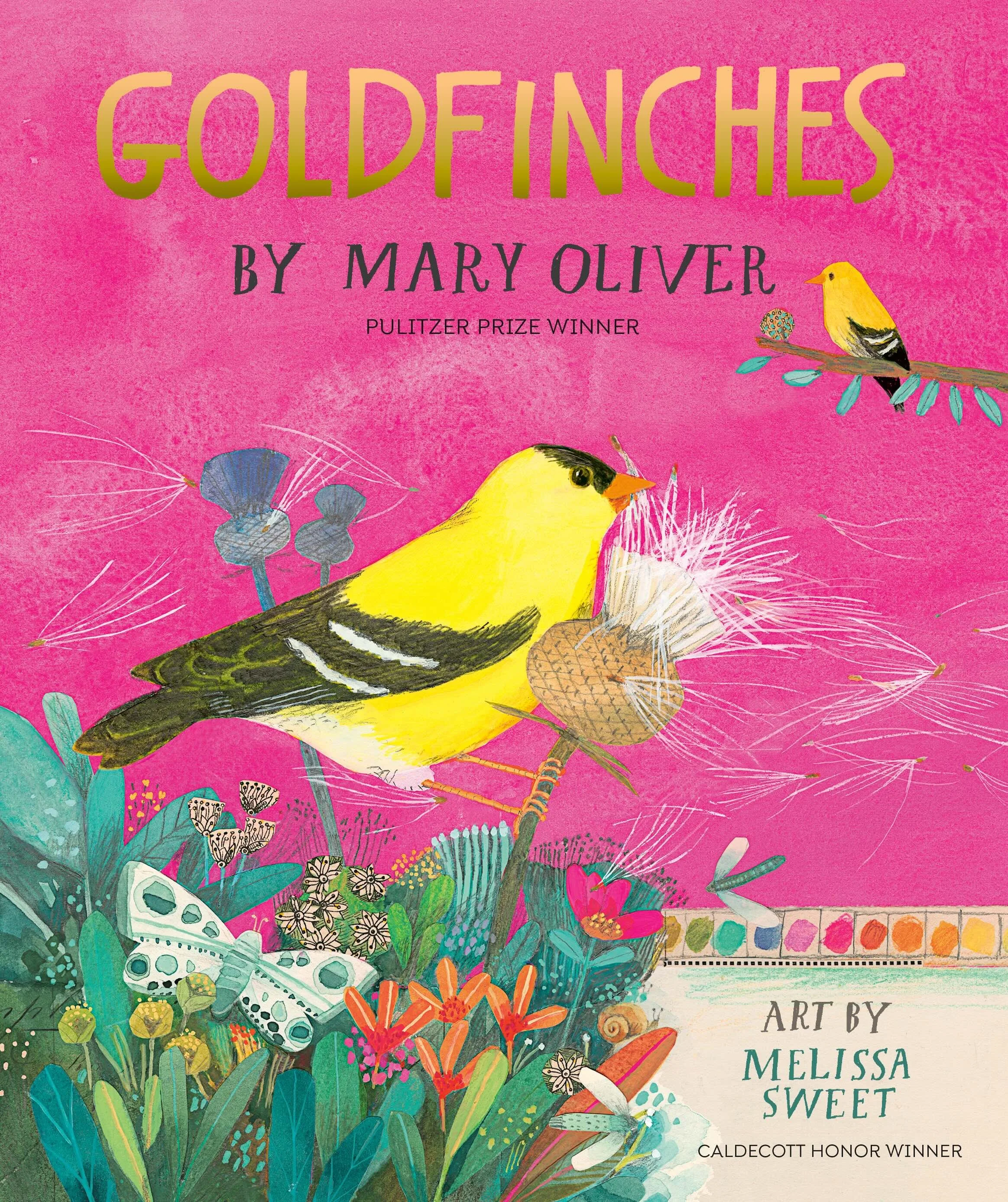 Picture Book in Dobbs Ferry, NY