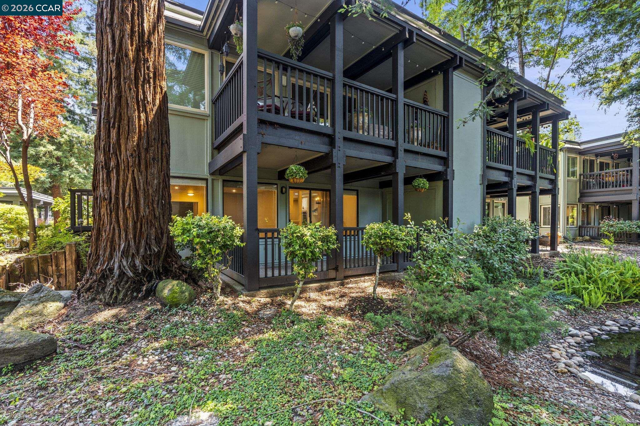 Ann Newton Cane Real Estate in Lafayette, CA (4)