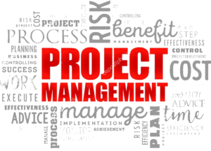 TheVirtualPM - Managing Chaos One Project at a Time in Germantown, TN