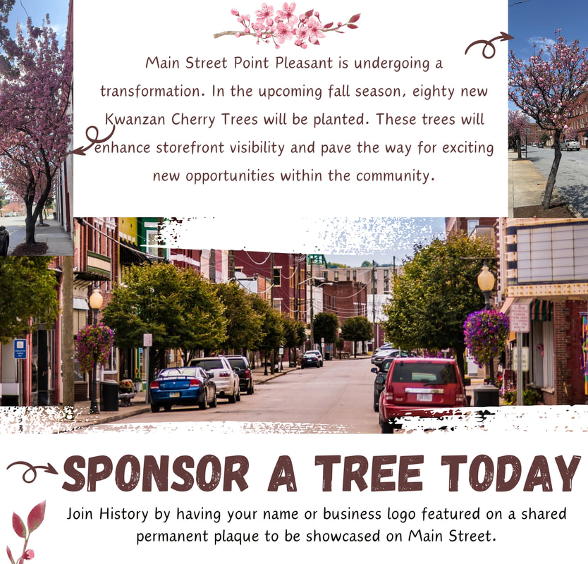 Main Street Point Pleasant in Point Pleasant, WV (2)