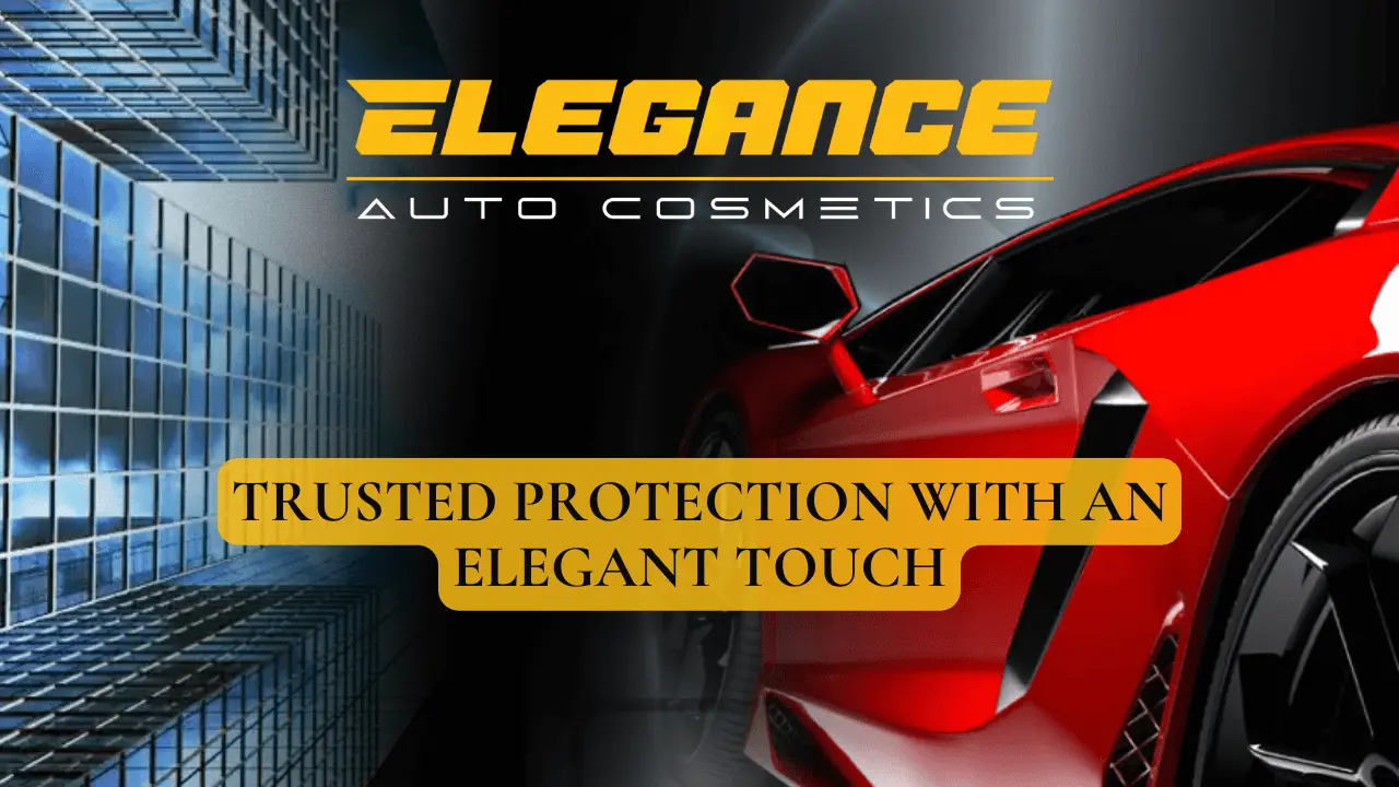 Elegance Auto Cosmetics LLC in Peachtree Corners, GA (2)