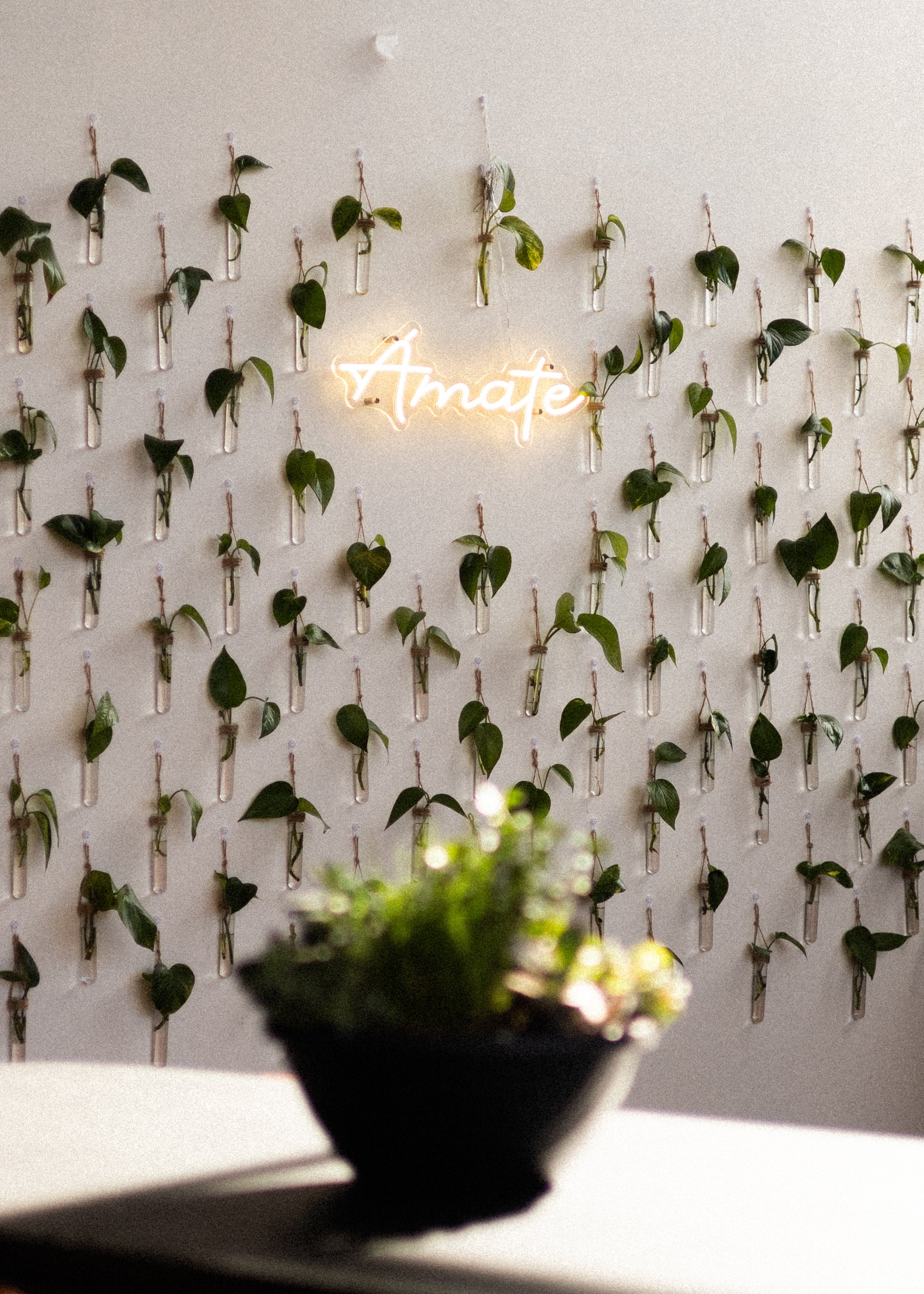 Amate Coffee in Lancaster, CA (5)