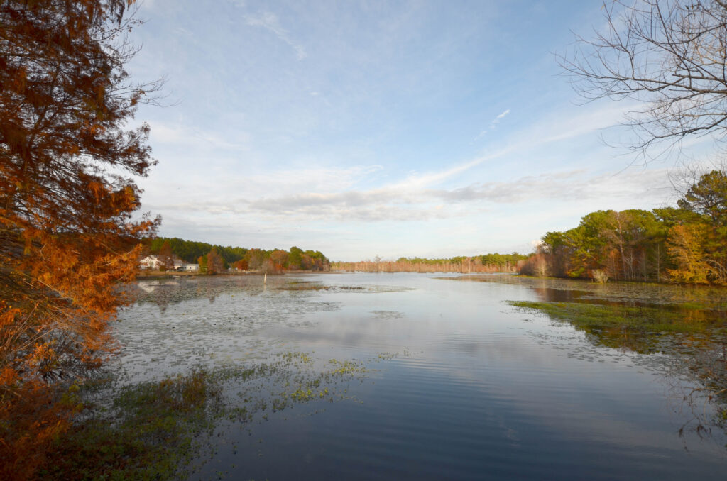 MCVL Realty in McClellanville, SC
