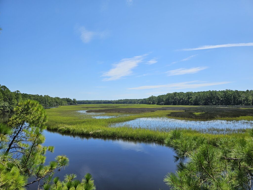 MCVL Realty in McClellanville, SC (2)