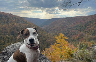 Milo's Cafe and Restaurant in Davis, WV (6)