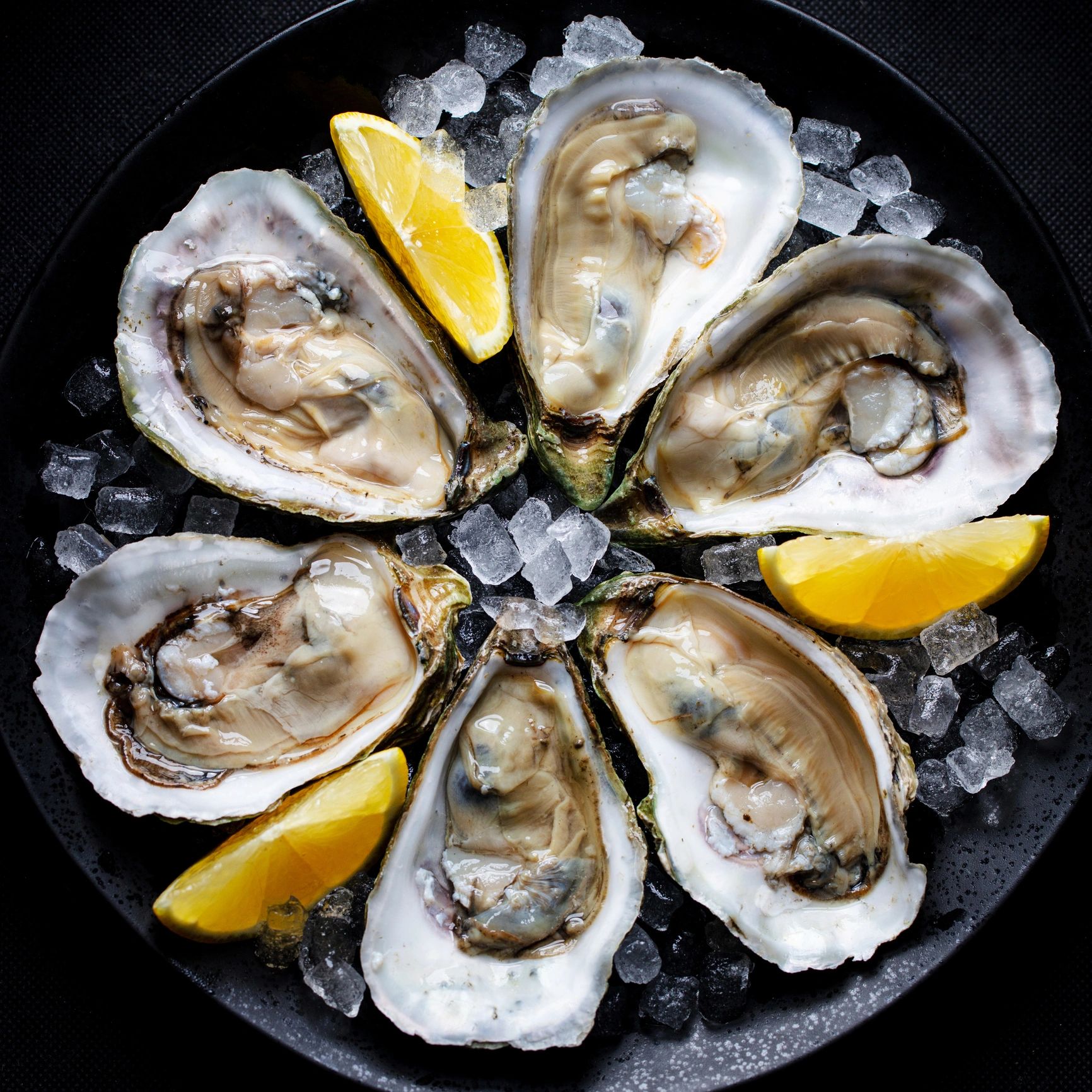 Fresh & Wild Fish Market & Restaurant in Hallandale Beach, FL (6)
