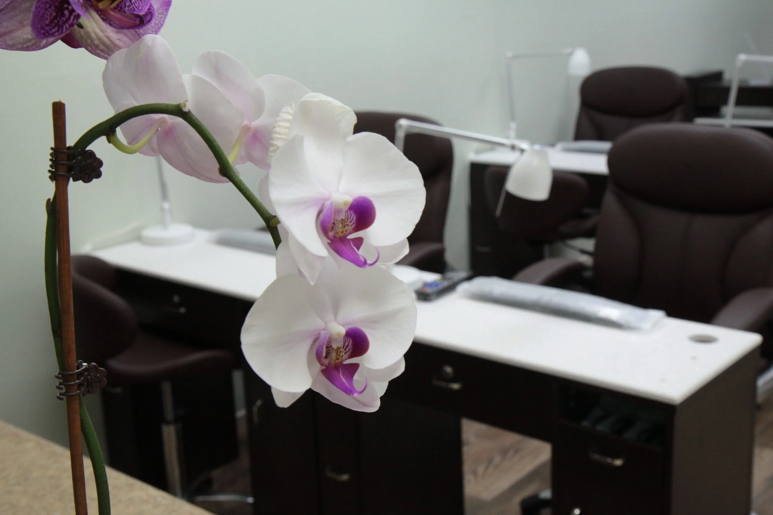 Be Polished Nails & Spa in San Marcos, CA