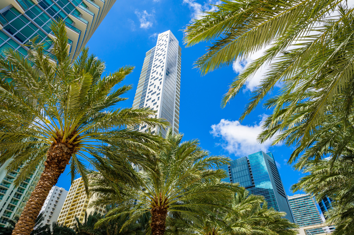 Monica Steinmuller, Real Estate Agent in Key Biscayne, FL