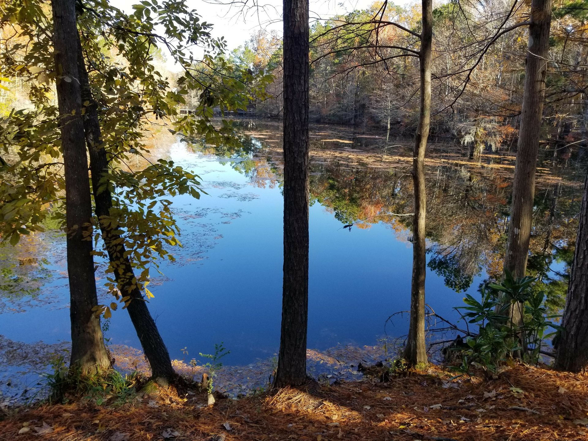 Pender County Tourism in Burgaw, NC