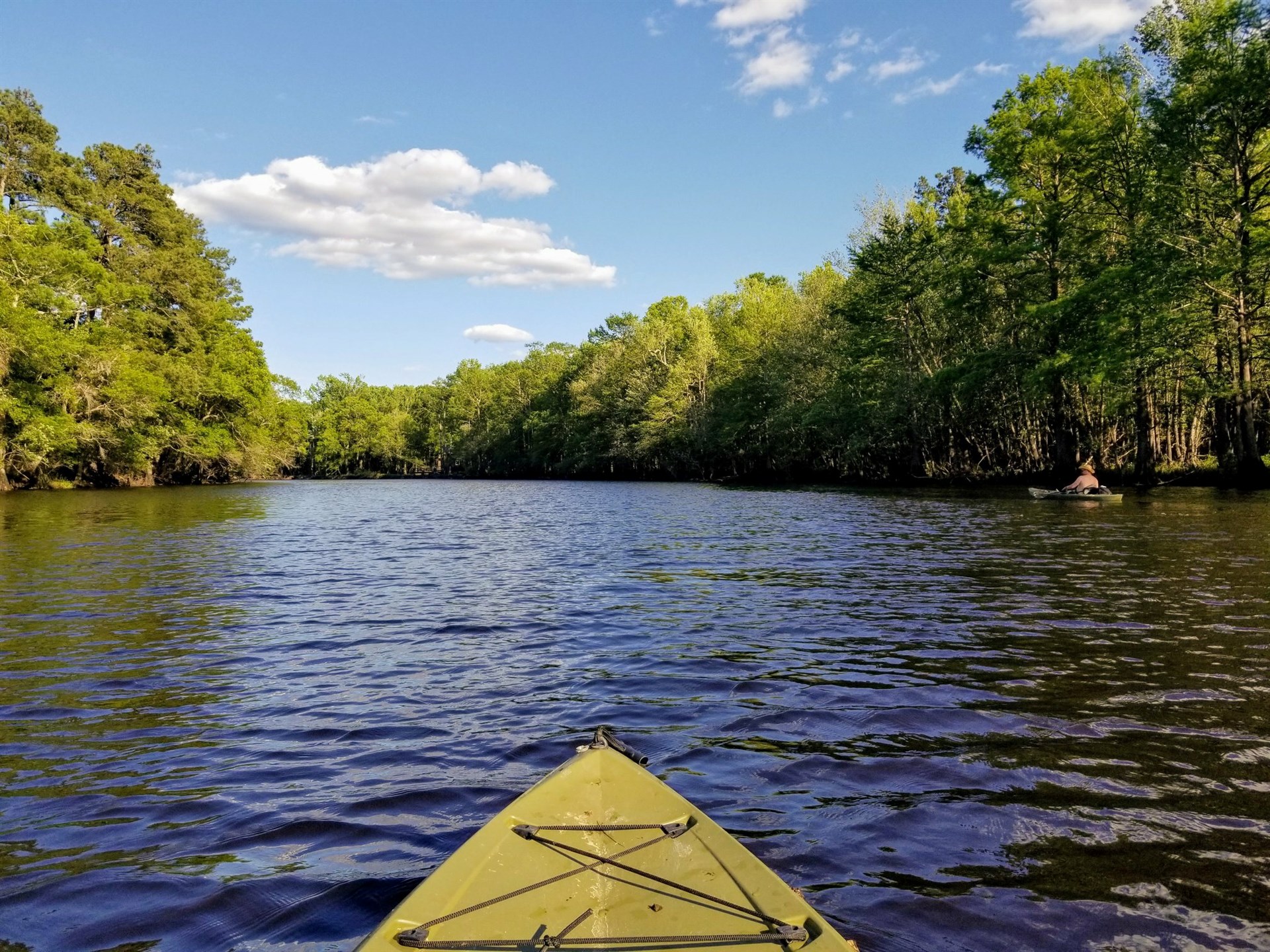 Pender County Tourism in Burgaw, NC (2)